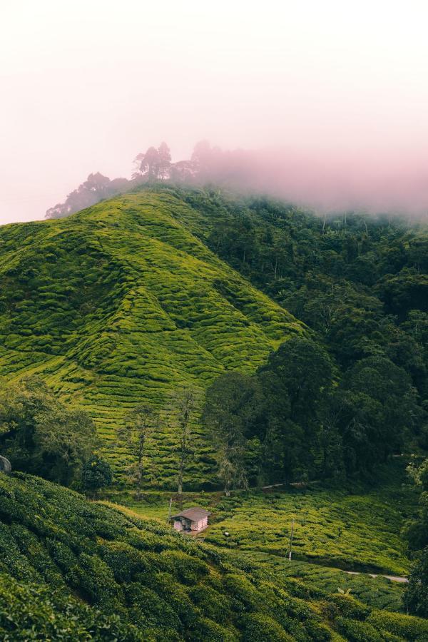 Heritage Hotel Cameron Highlands Exterior foto